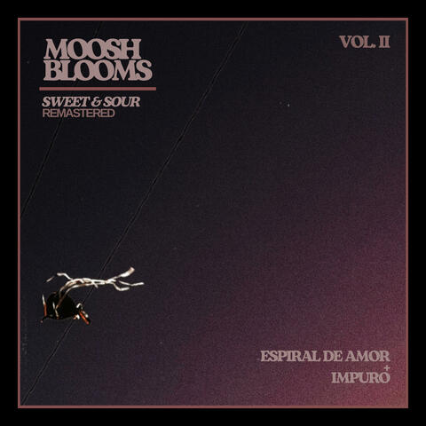 Espiral de Amor / Impuro