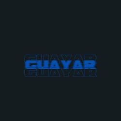 Guayar (feat. FeroThug & ynbsasori)