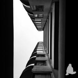 Quiet Release (feat. Viewfromdowntown)