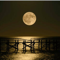 Baila A La Luz De La Luna (Dance By The Moonlight)