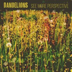 Dandelions