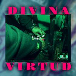 Divina Virtud