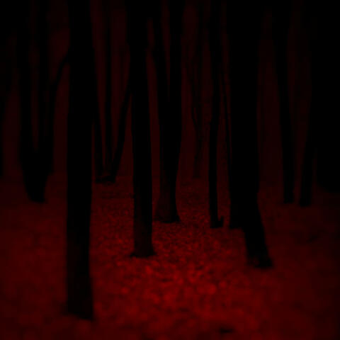 Children of the Night