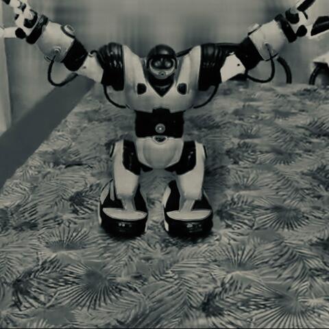 lady machine