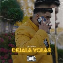 DEJALA VOLAR
