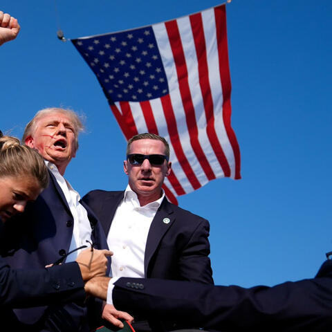 MAGA