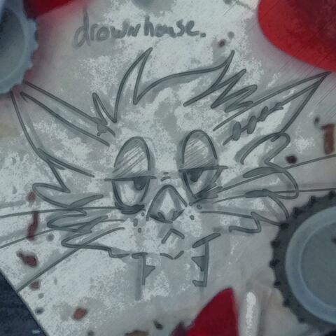 Drownhouse