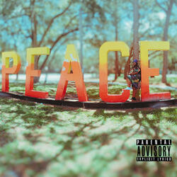P.O.M. (Peace of Mind)
