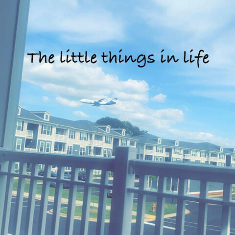 the little things in life