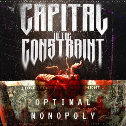 Capital Is The Constraint