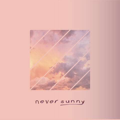 Never Sunny