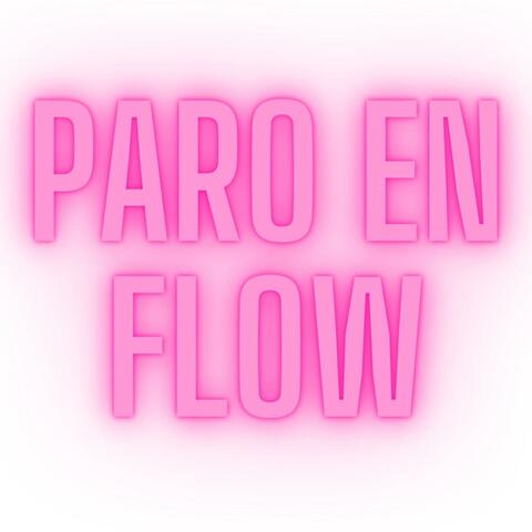 PARO EN FLOW