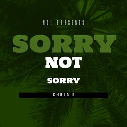 Sorry Not Sorry (feat. Tybaby & TaeoTheArtist)