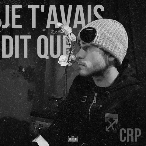 JE T'AVAIS DIT QUE