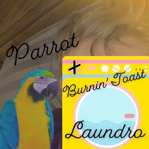 Parrot + Burnin' Toast