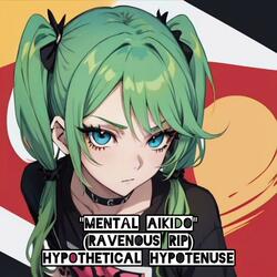 Mental Aikido