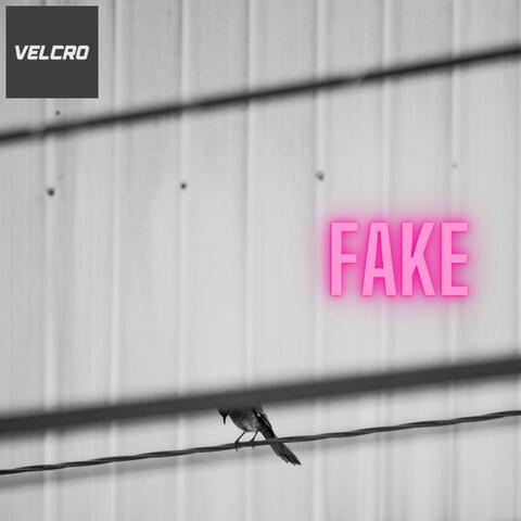 Fake