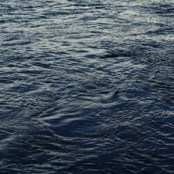 Walking On Water