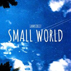 Small World!?