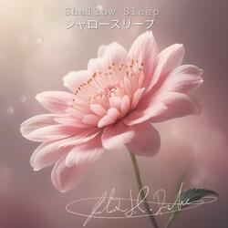 SHALLOW SLEEP