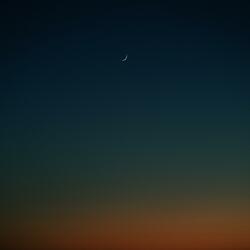 Stay