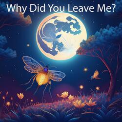 Why Did You Leave Me?