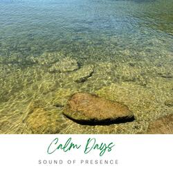 Calm Days