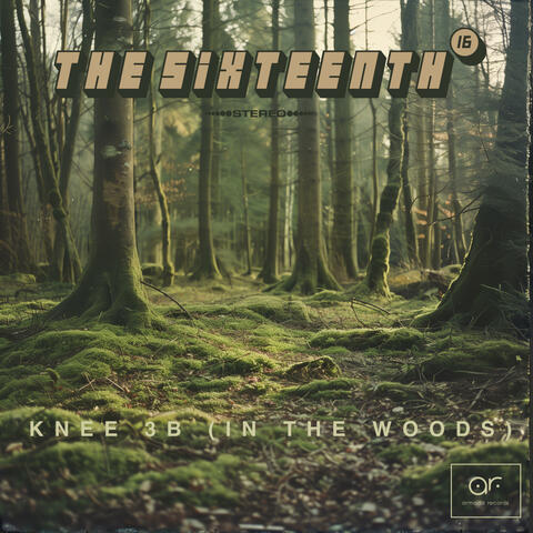 Knee 3b (In The Woods)