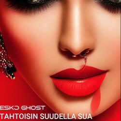 Tahtoisin suudella sua