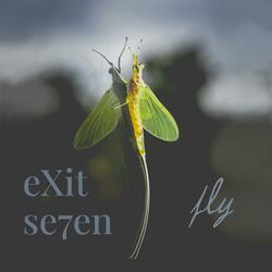 Fly