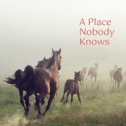 A Place Nobody Knows