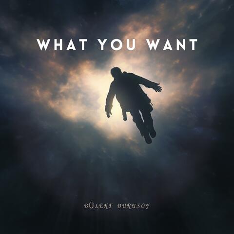 What You Want