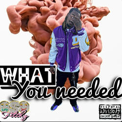 What You Needed