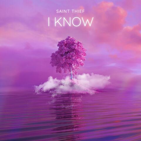 I Know (feat. Saint Thief)