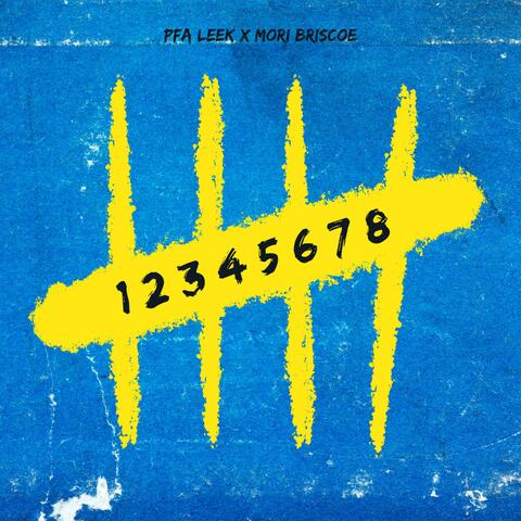 12345678 (feat. Mori Briscoe)