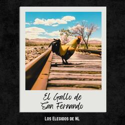 El Gallo De San Fernando