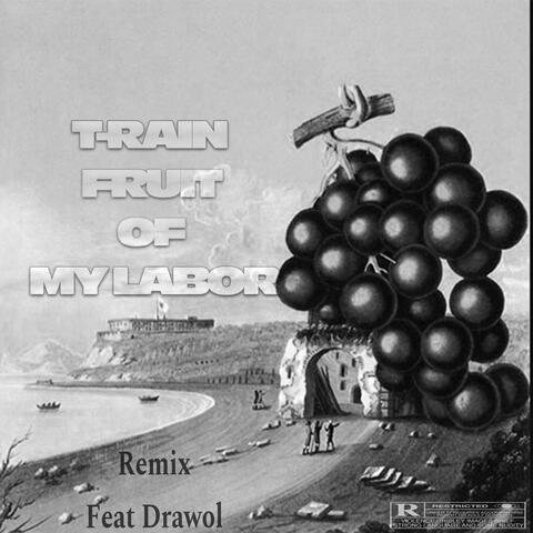 Fruit of My Labor (feat. Drawol) [Remix]