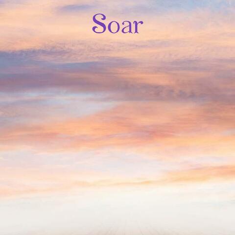 Soar
