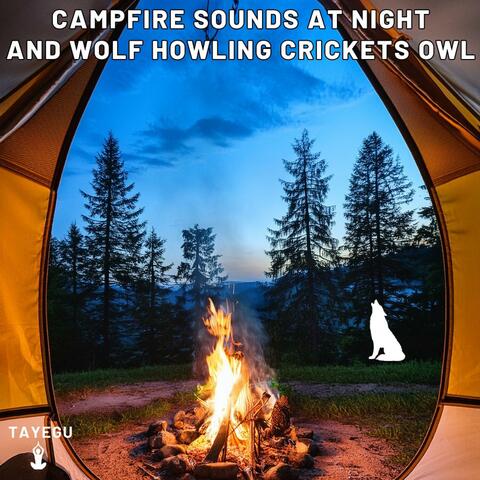 Campfire Sounds at Night and Wolf Howling Crickets Owl Forest Camping 1 Hour Relaxing Nature Ambient Yoga Meditation Sounds For Sleeping Relaxation or Studying