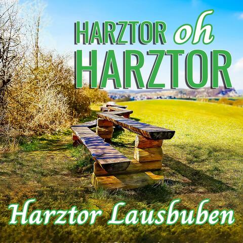 Harztor, oh Harztor (Radio Edit)
