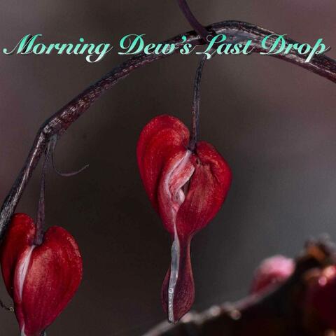 Morning Dew's Last Drop