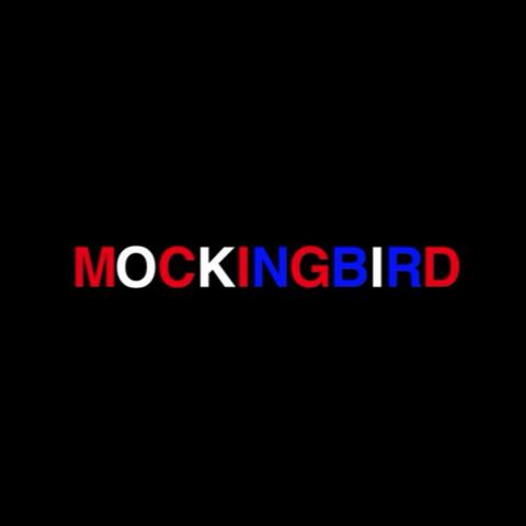 Mocking Bird