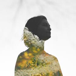 wild and free