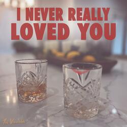 I Never Really Loved You (feat. Libra)