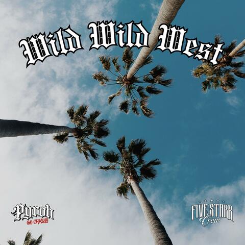 Wild Wild West (feat. Potb)