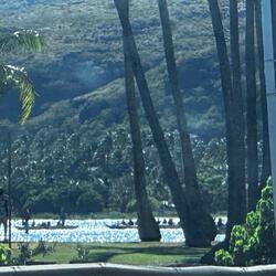 Put it Down on Sound