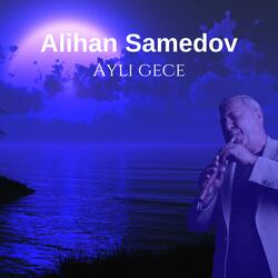 Aylı gece