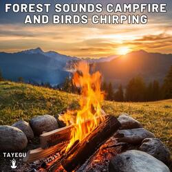 Forest Sounds Campfire and Birds Chirping Morning Camping 1 Hour Relaxing Nature Ambient Yoga Meditation Sounds For Sleeping Relaxation or Studying