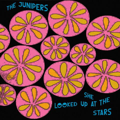 She Looked Up At the Stars