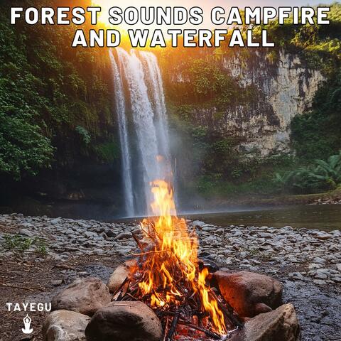 Forest Sounds Campfire and Waterfall River Birds Chirping Camping 1 Hour Relaxing Nature Ambient Yoga Meditation Sounds For Sleeping Relaxation or Studying